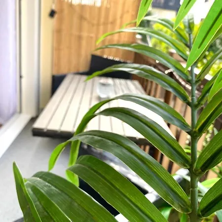 Apartment La Petite Oasis- Ideal Couple - Calme - Balcon Sud - Lumineux - 10min Du Centre & - Proche Centre Juno - Wifi *