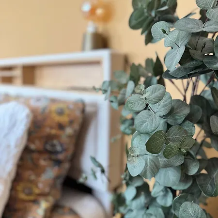 Apartment La Petite Oasis- Ideal Couple - Calme - Balcon Sud - Lumineux - 10min Du Centre & - Proche Centre Juno - Wifi Courseulles-sur-Mer